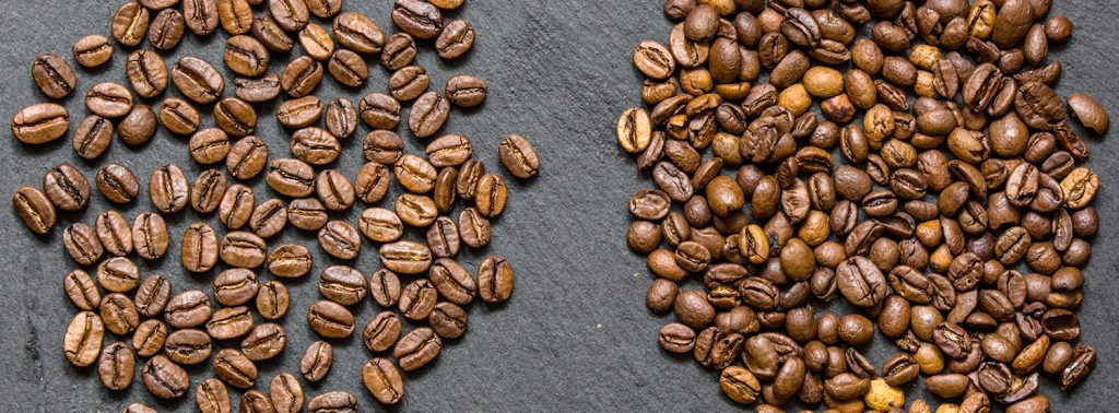 Arabica vs Robusta
