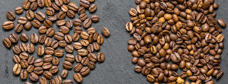 Arabica vs Robusta