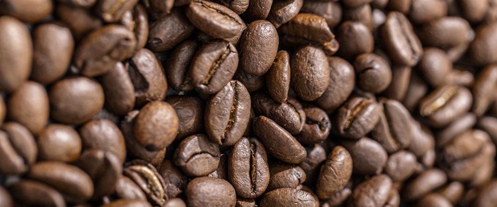 Comment Choisir son Café en Grains ? Le Guide du Débutant