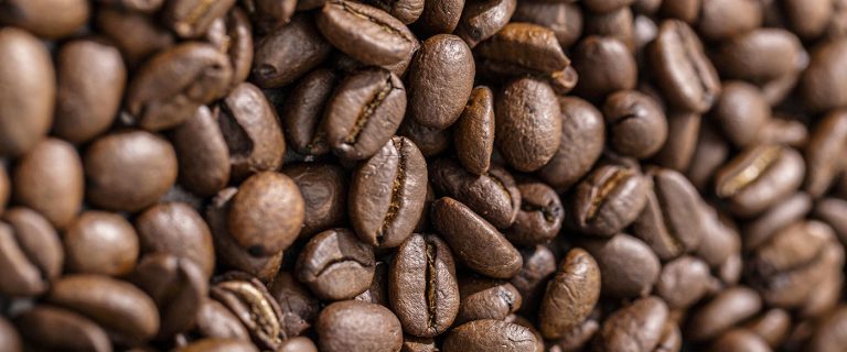 Comment Choisir son Café en Grains ? Le Guide du Débutant