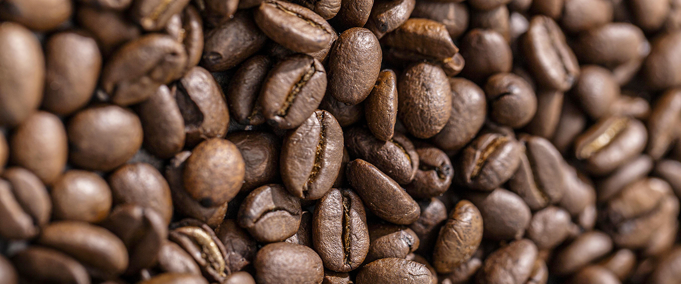 Comment Choisir son Café en Grains ? Le Guide du Débutant